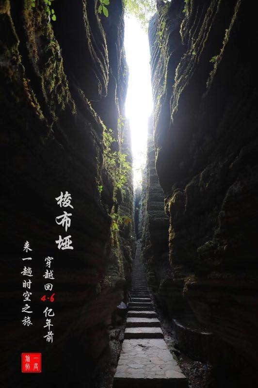 迷你忍者