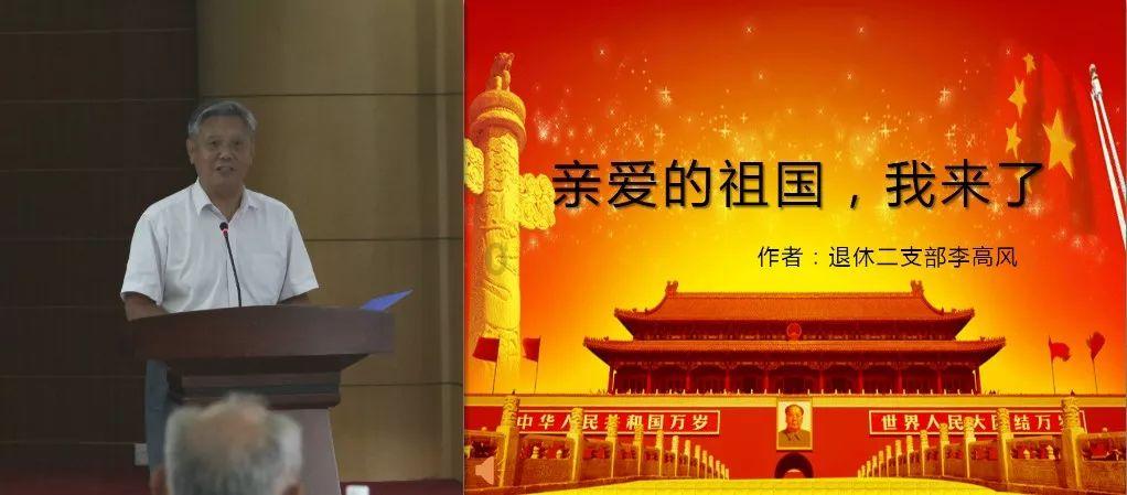 破碎的动物图形2